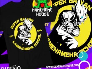 Dragon Ball Kamehameha school