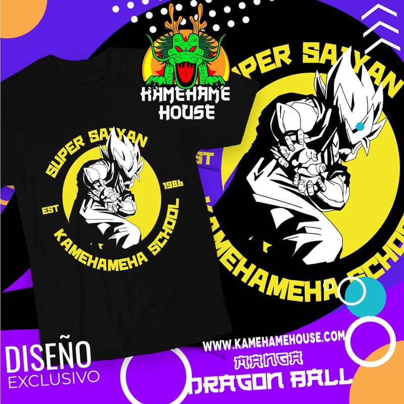 Dragon Ball Kamehameha school