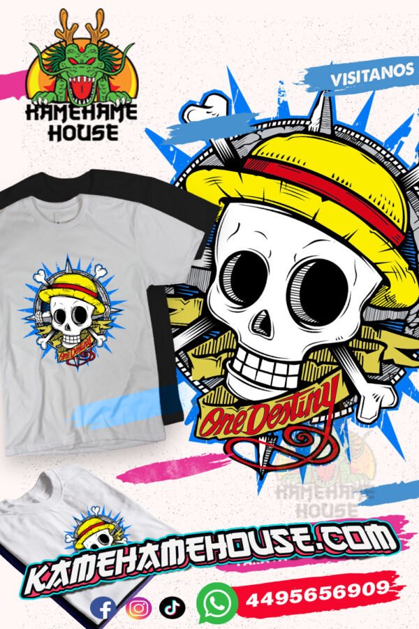 One Piece Destiny