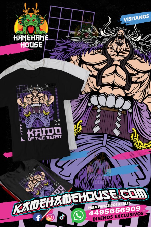 One Piece Kaido