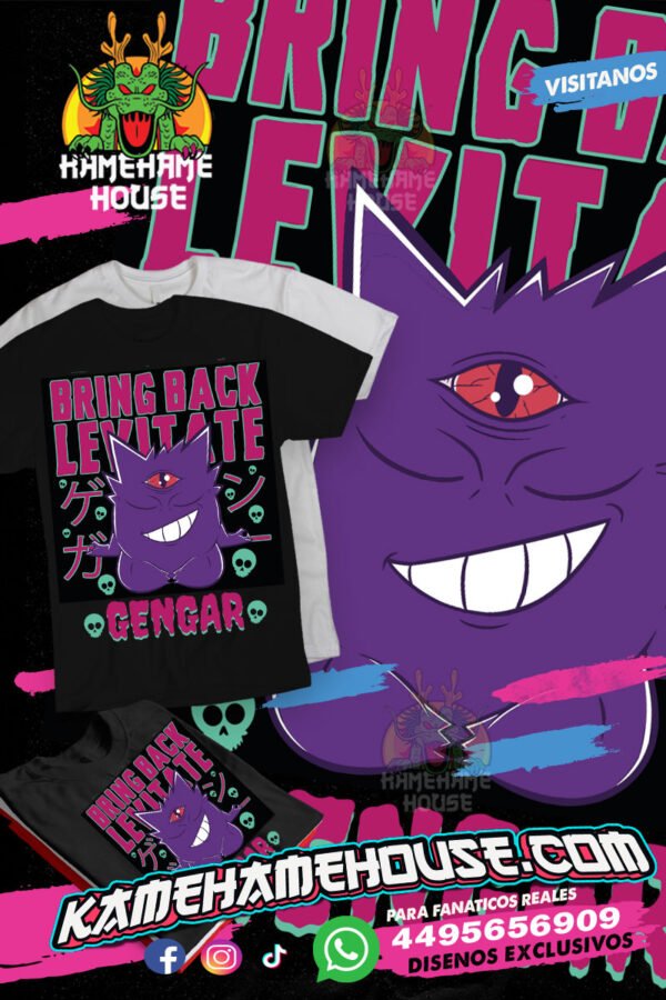 Pokemon Video Gengar Levite